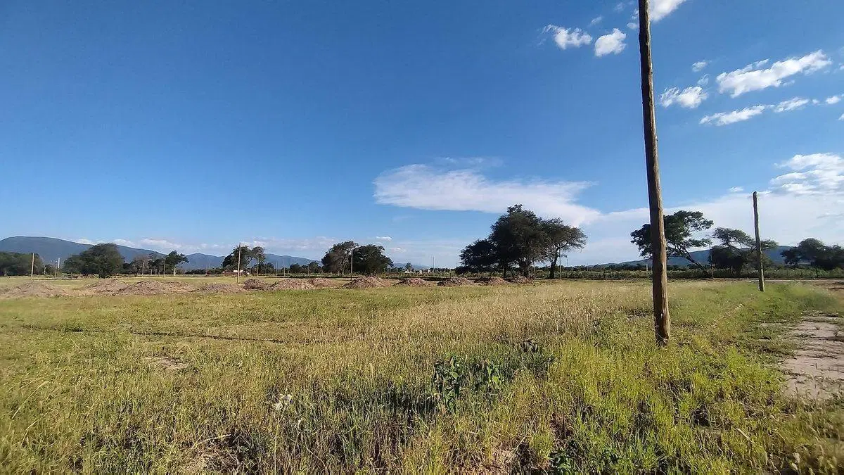 TERRENO VENTA LOS OLMOS 360 CERRILLOS 303 M2 2
