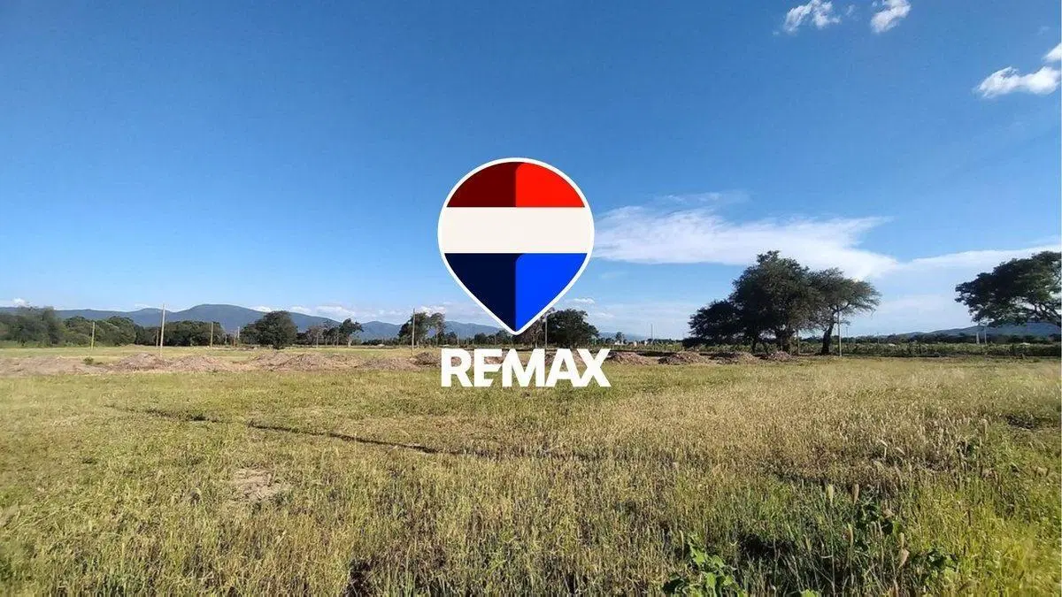 TERRENO VENTA LOS OLMOS 360 CERRILLOS 303 M2 3
