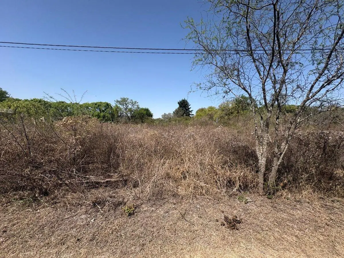 TERRENO VENTA LA CALDERILLA RN 9 SALTA 1726m2 3