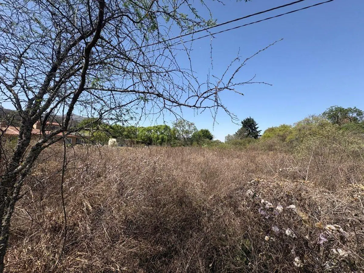 TERRENO VENTA LA CALDERILLA RN 9 SALTA 1726m2 4