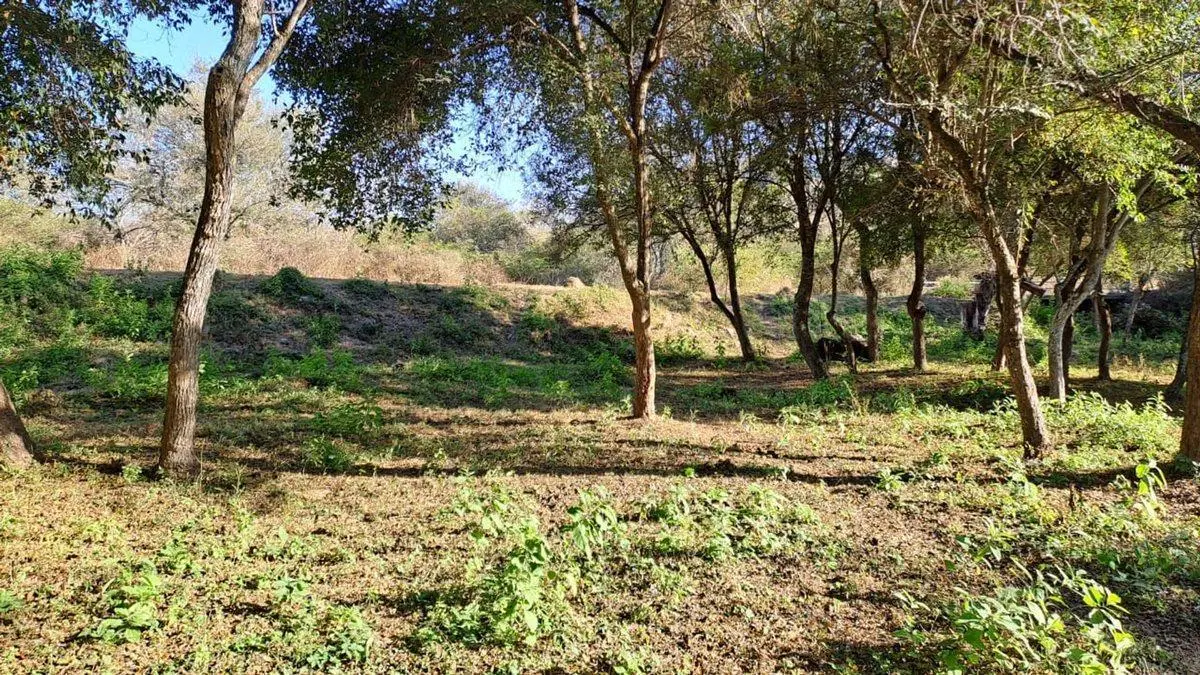 TERRENO VENTA LA MISION LA CALDERA 2