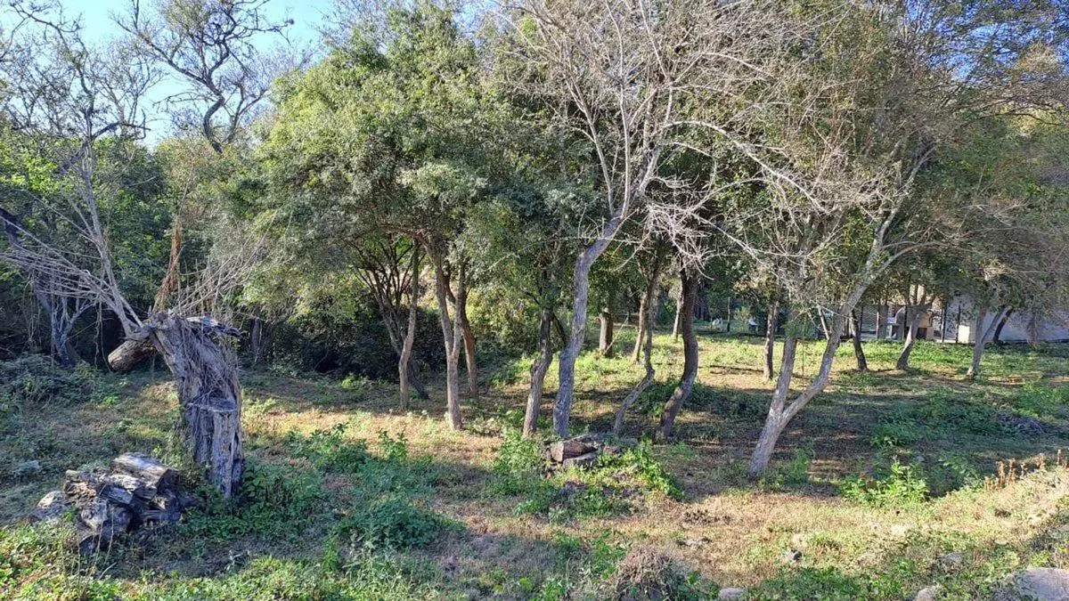 TERRENO VENTA LA MISION LA CALDERA 3