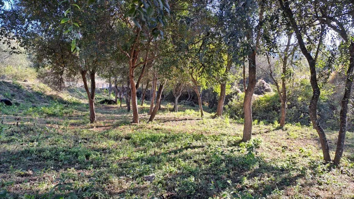 TERRENO VENTA LA MISION LA CALDERA 5