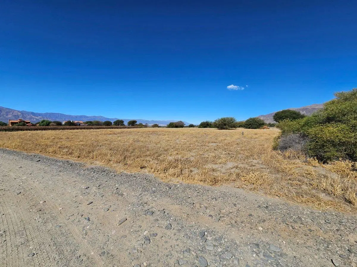 TERRENO VENTA ESTANCIA DE CAFAYATE ESQUINA 3480 M2 4
