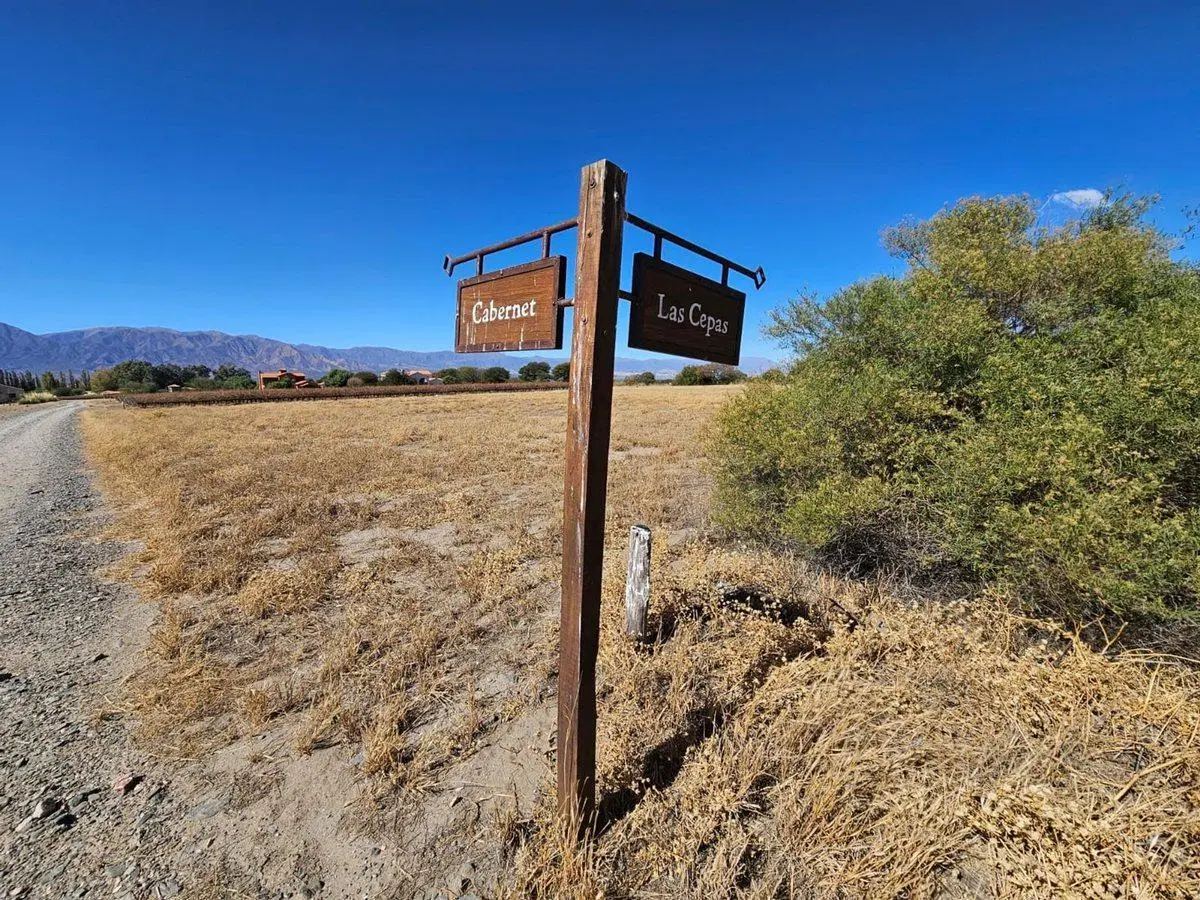 TERRENO VENTA ESTANCIA DE CAFAYATE ESQUINA 3480 M2 5