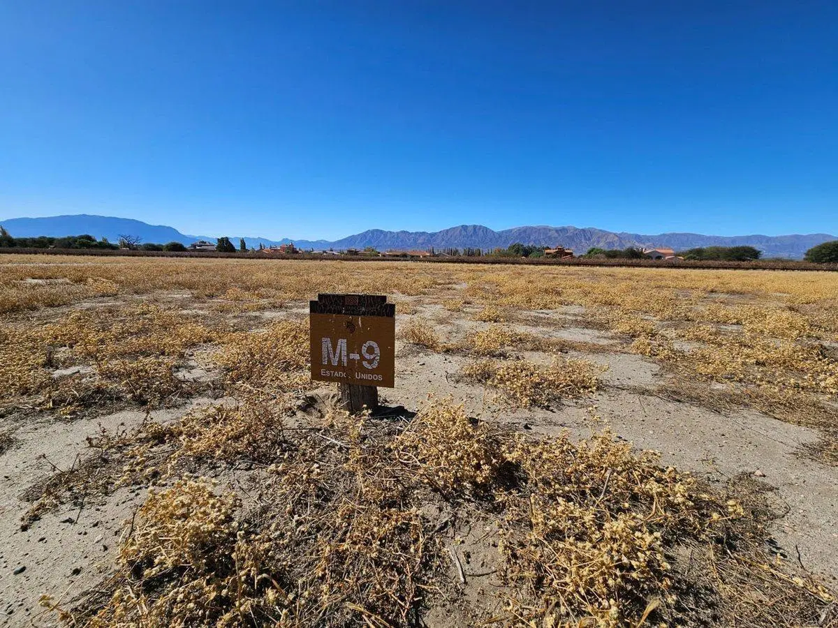 TERRENO VENTA ESTANCIA DE CAFAYATE ESQUINA 3480 M2 2