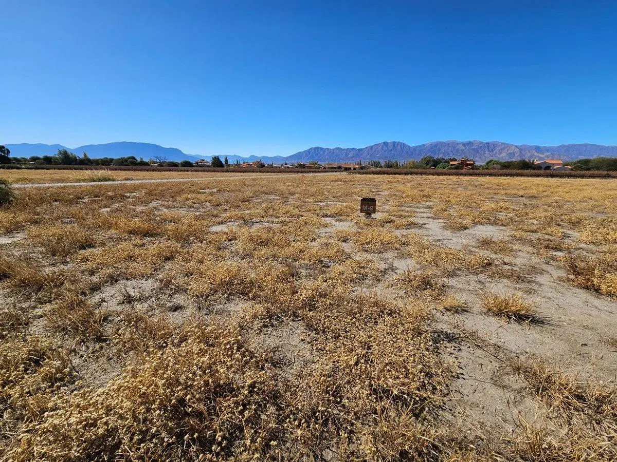 TERRENO VENTA ESTANCIA DE CAFAYATE ESQUINA 3480 M2 3