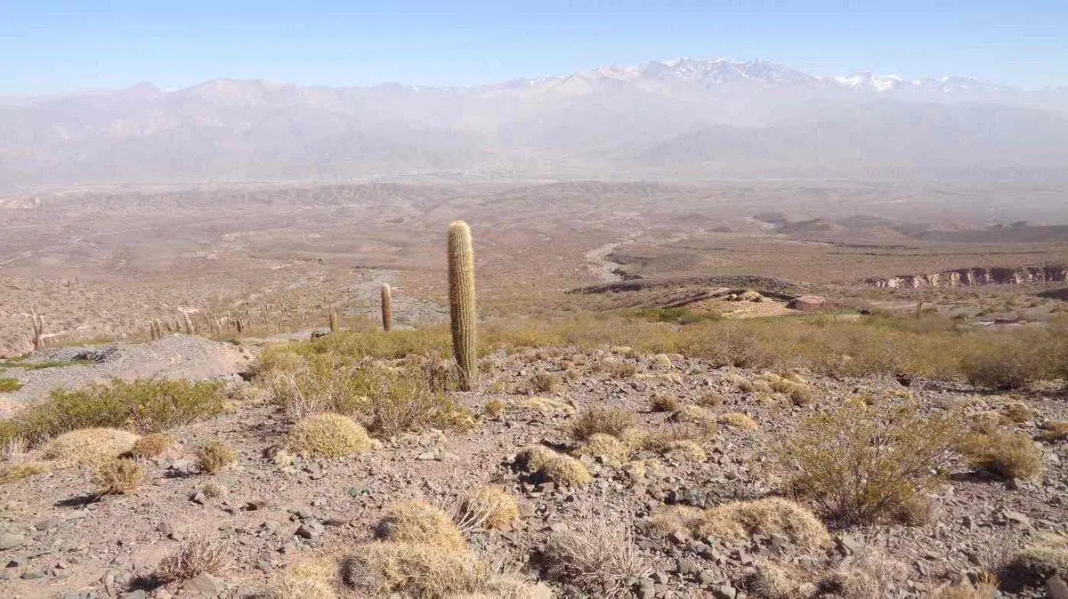 FINCA EN VENTA RUTA PROVINCIAL 40 CACHI 4