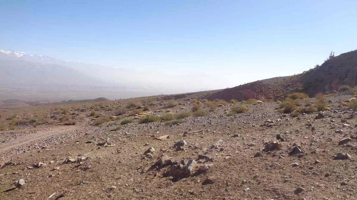 FINCA EN VENTA RUTA PROVINCIAL 40 CACHI 3