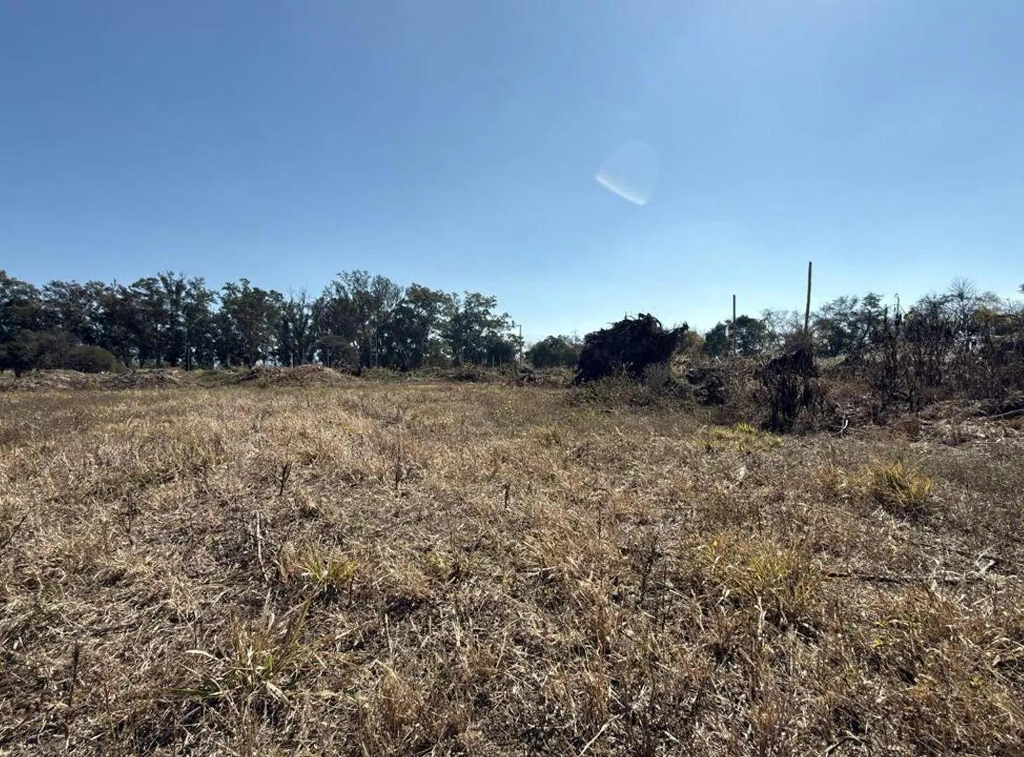 TERRENO VENTA LOS OLMOS 360 CERRILLOS 323 M2 4