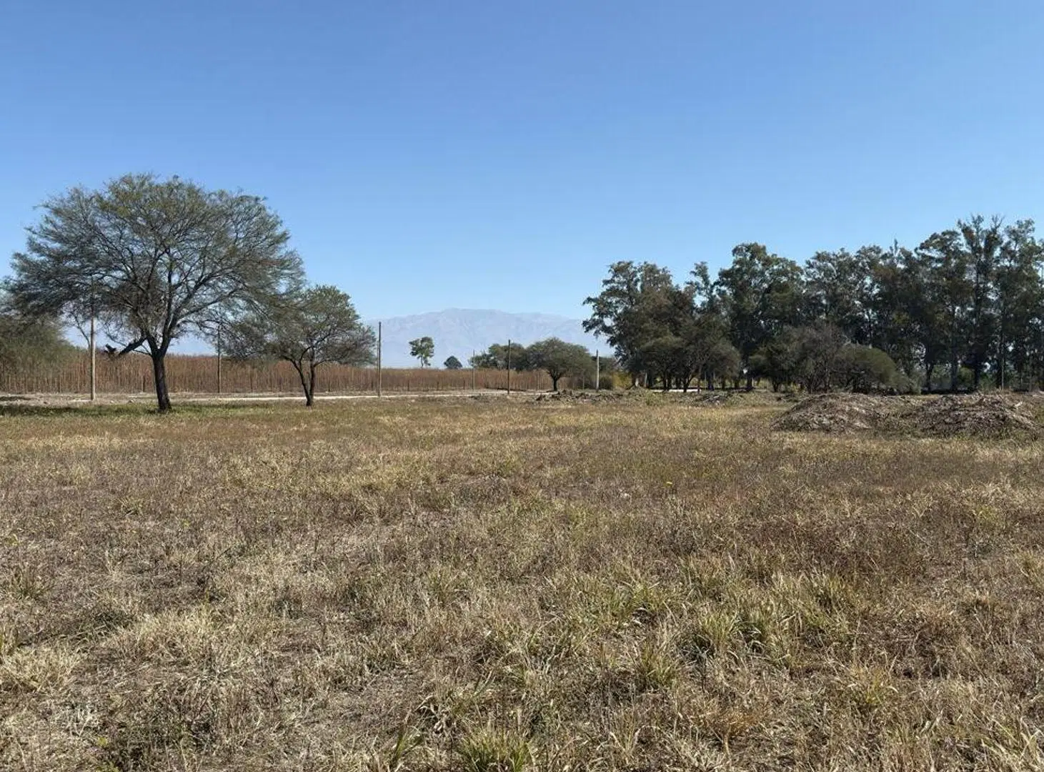 TERRENO VENTA LOS OLMOS 360 CERRILLOS 323 M2 2