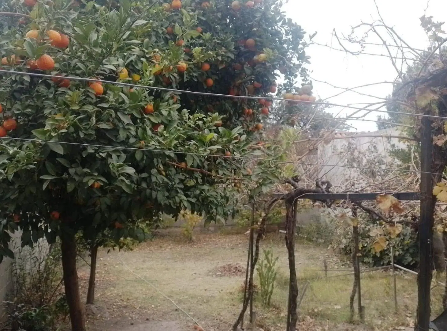 CASA 3 DORMITORIOS VENTA CAFAYATE CON COCHERA 4