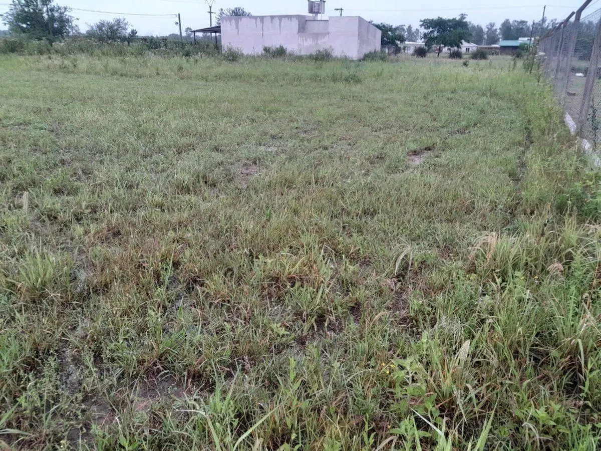 TERRENO VENTA RETOÑOS DE COLON LA SILLETA 600M2 4