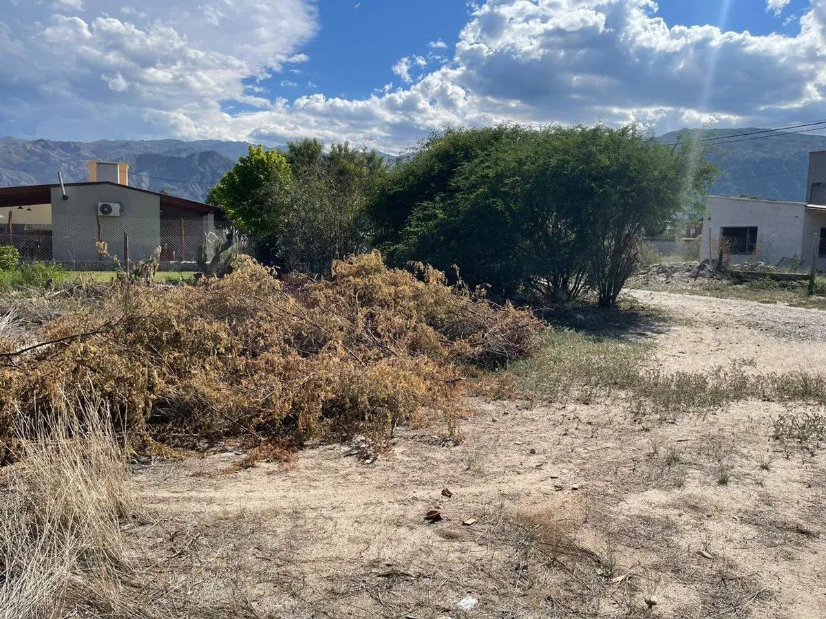 TERRENO EN VENTA WINE VILLAGE CAFAYATE 2
