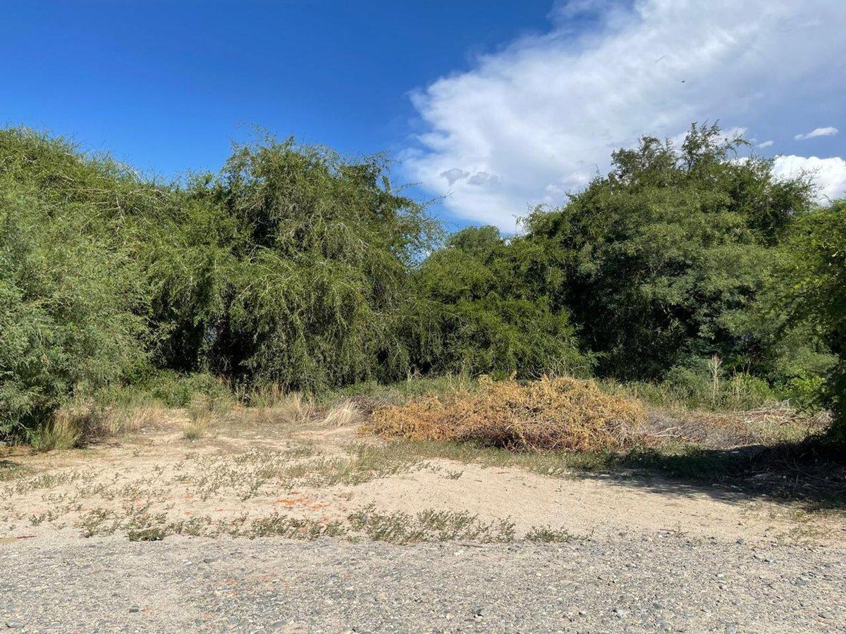 TERRENO EN VENTA WINE VILLAGE CAFAYATE
