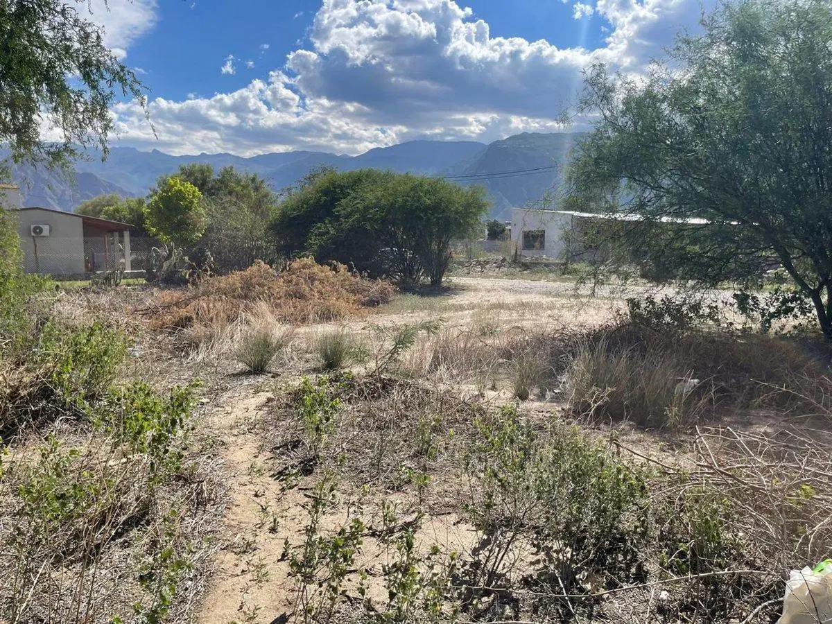TERRENO EN VENTA WINE VILLAGE CAFAYATE 4