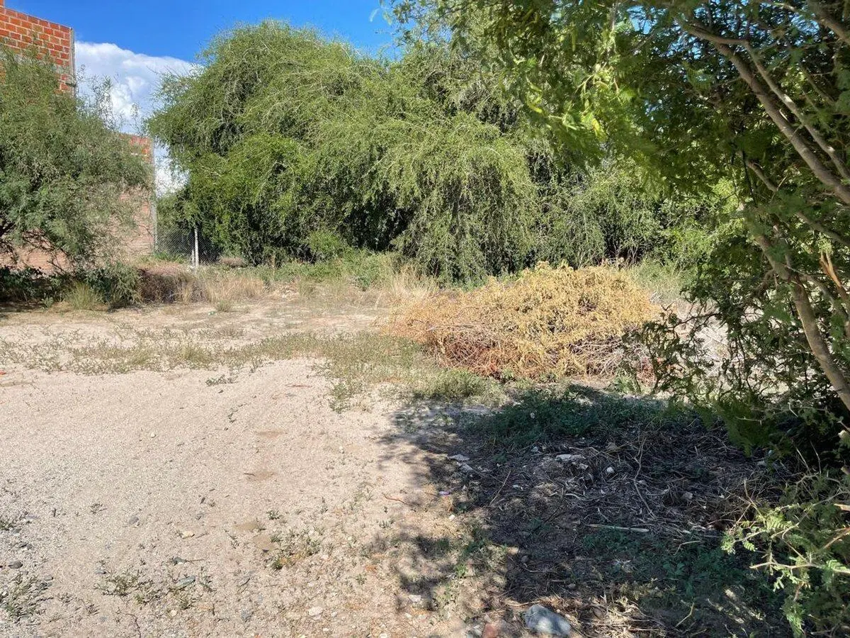 TERRENO EN VENTA WINE VILLAGE CAFAYATE 5
