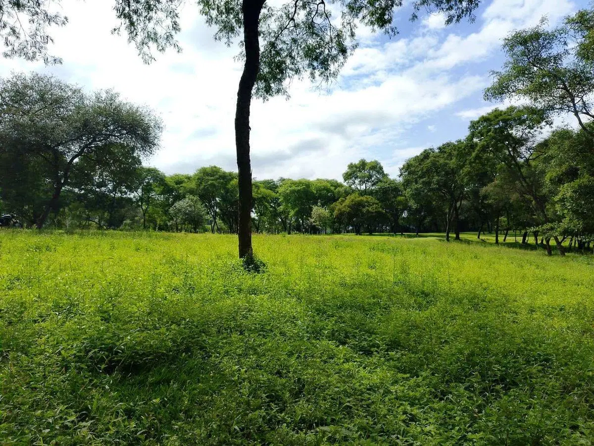 TERRENO VENTA LA MISION II VAQUEROS LA CALDERA 4