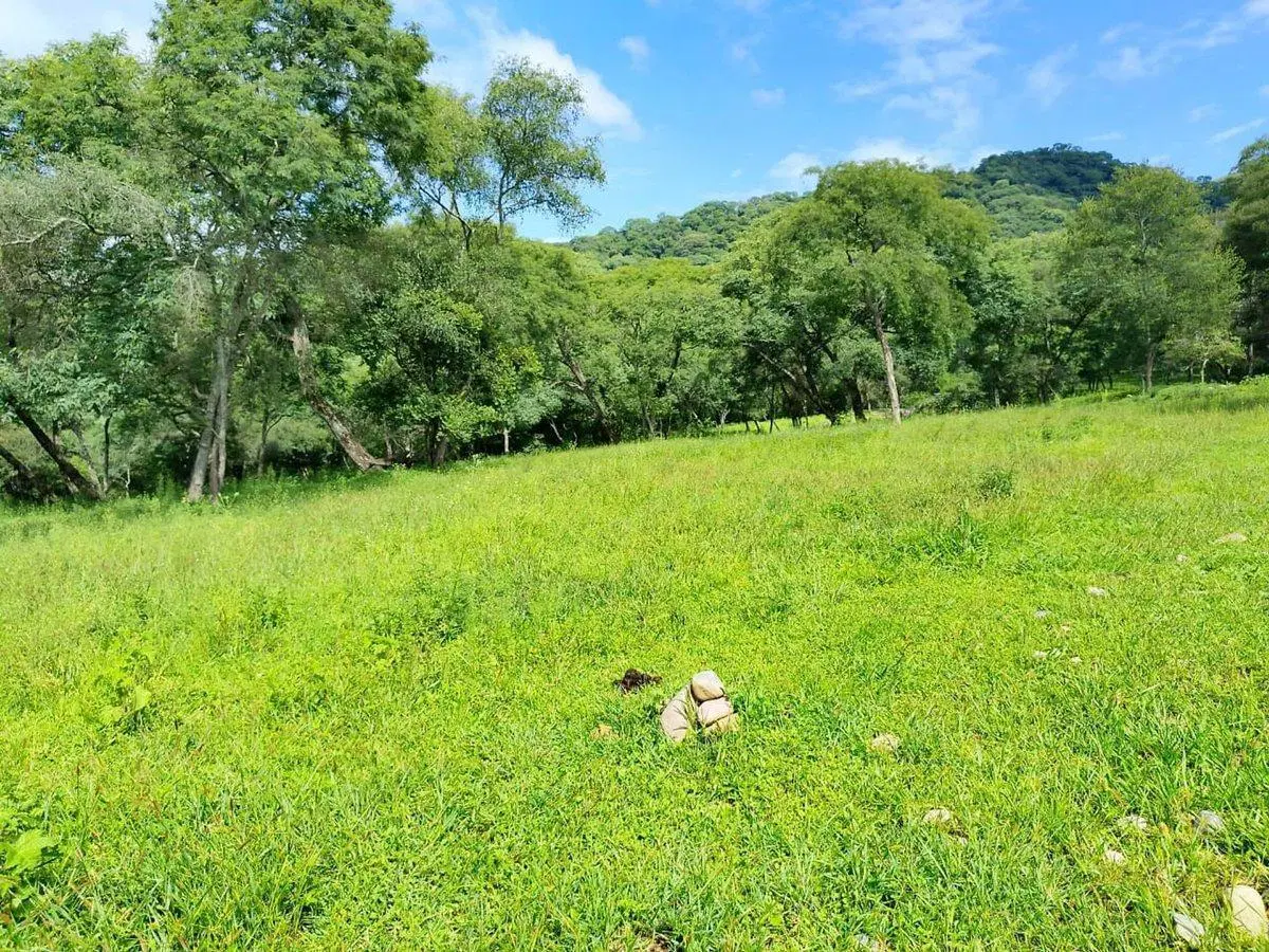 TERRENO VENTA LA MISION II VAQUEROS LA CALDERA 8