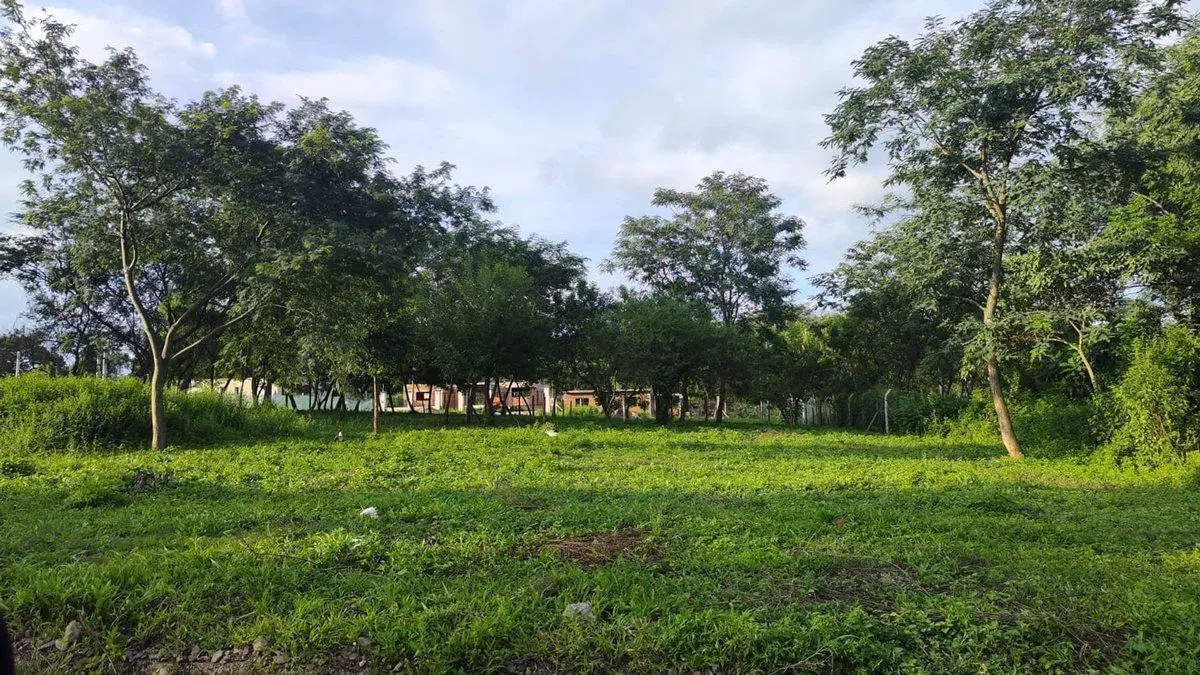 TERRENO VENTA URBANIZACION ALMERIA VAQUEROS 555M2 6