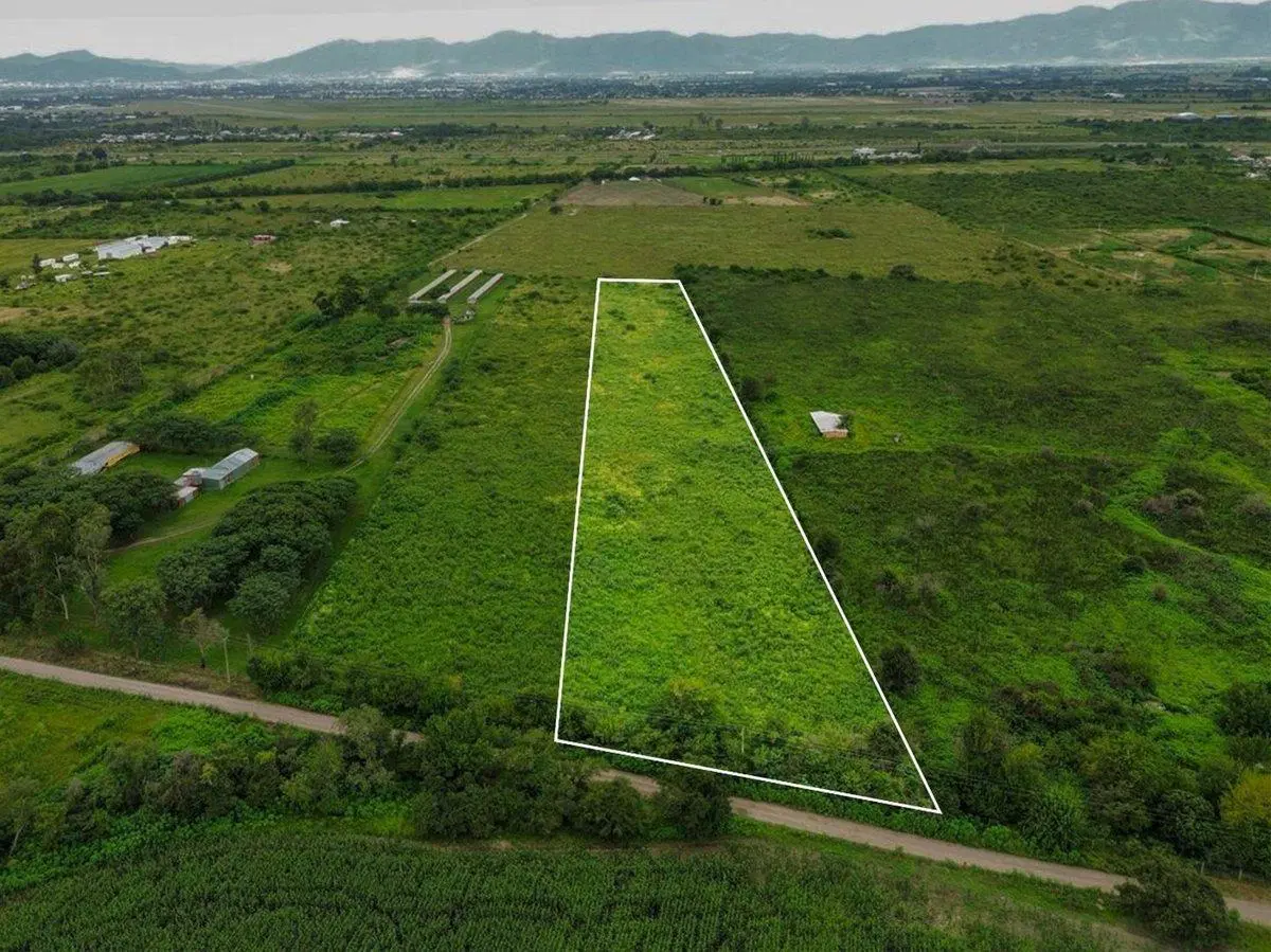 TERRENO DE 2 HA VENTA EN SAN LUIS 4