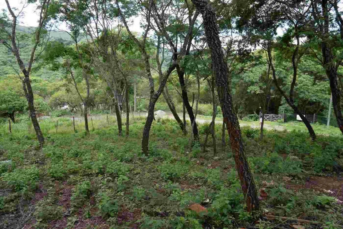 TERRENO VENTA LA MISION III 1382M2 LA CALDERA 5