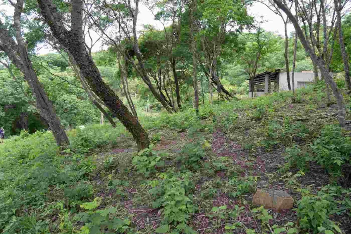 TERRENO VENTA LA MISION III 1382M2 LA CALDERA 2