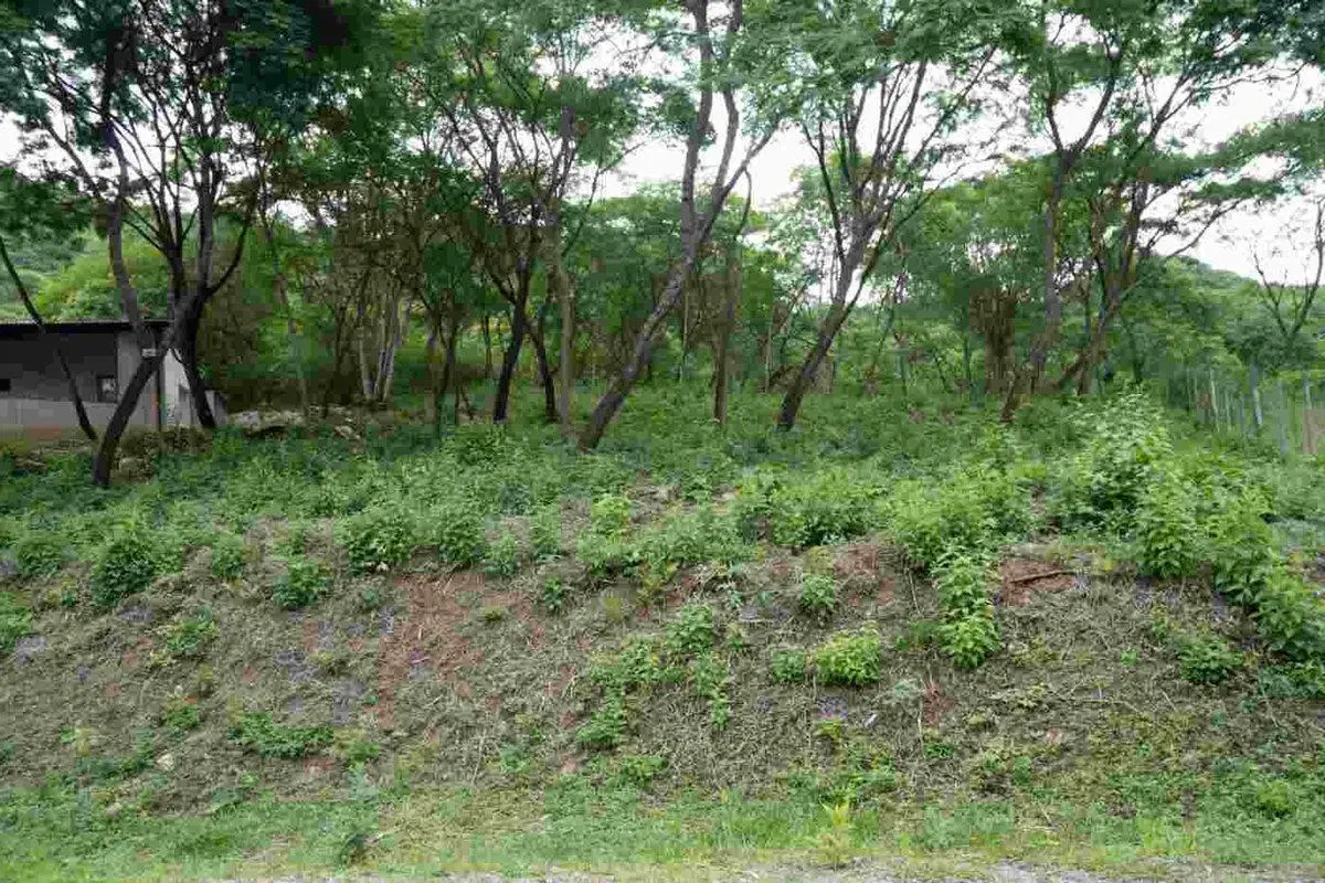 TERRENO VENTA LA MISION III 1382M2 LA CALDERA 4