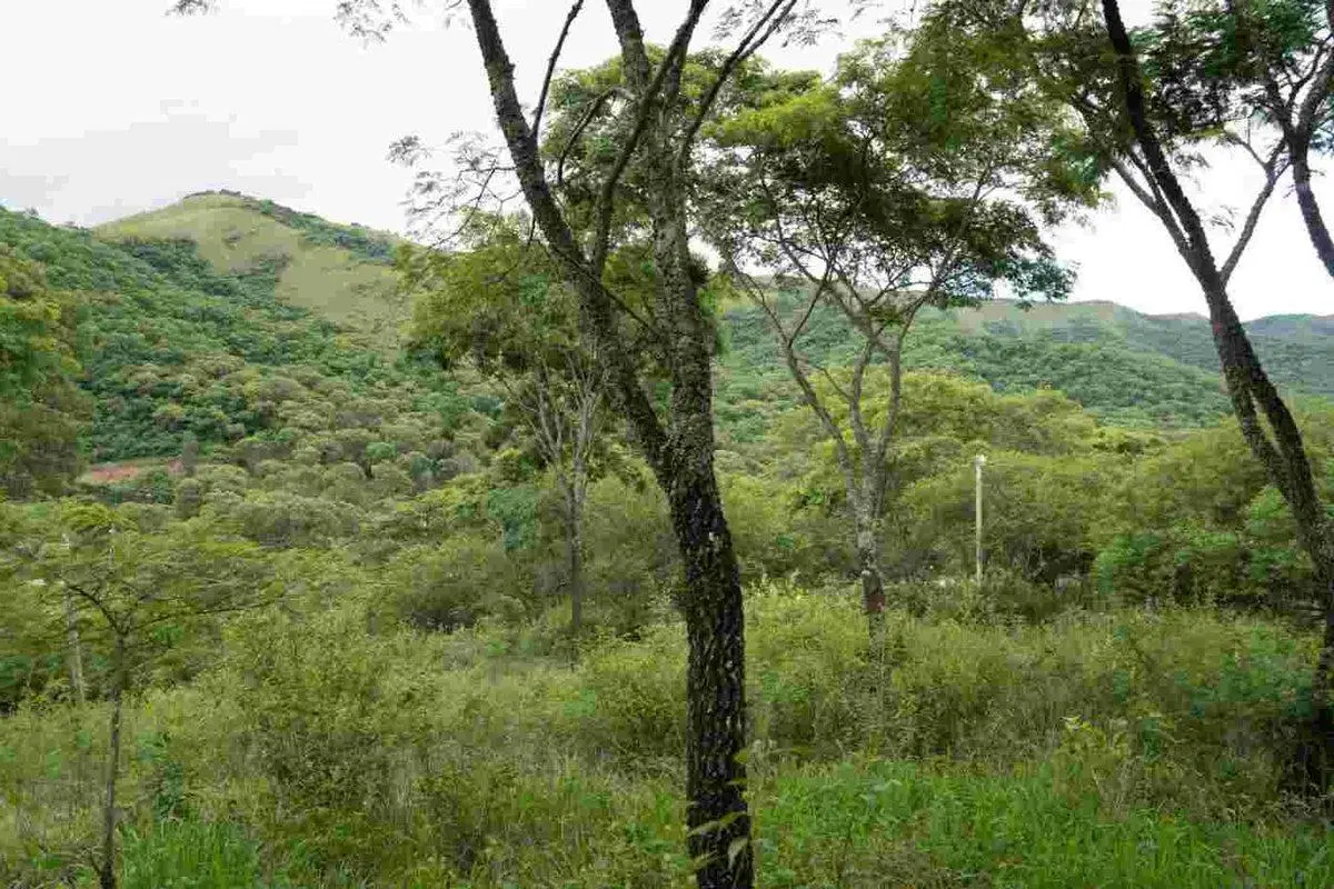 TERRENO VENTA LA MISION III 1382M2 LA CALDERA 4