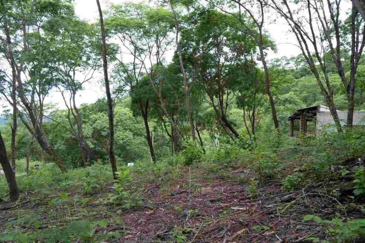 TERRENO VENTA LA MISION III 1382M2 LA CALDERA 5