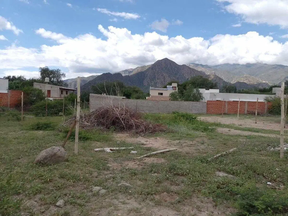 TERRENOS VENTA 300 MT2 PASEO LAS VIÑAS CAFAYATE 5