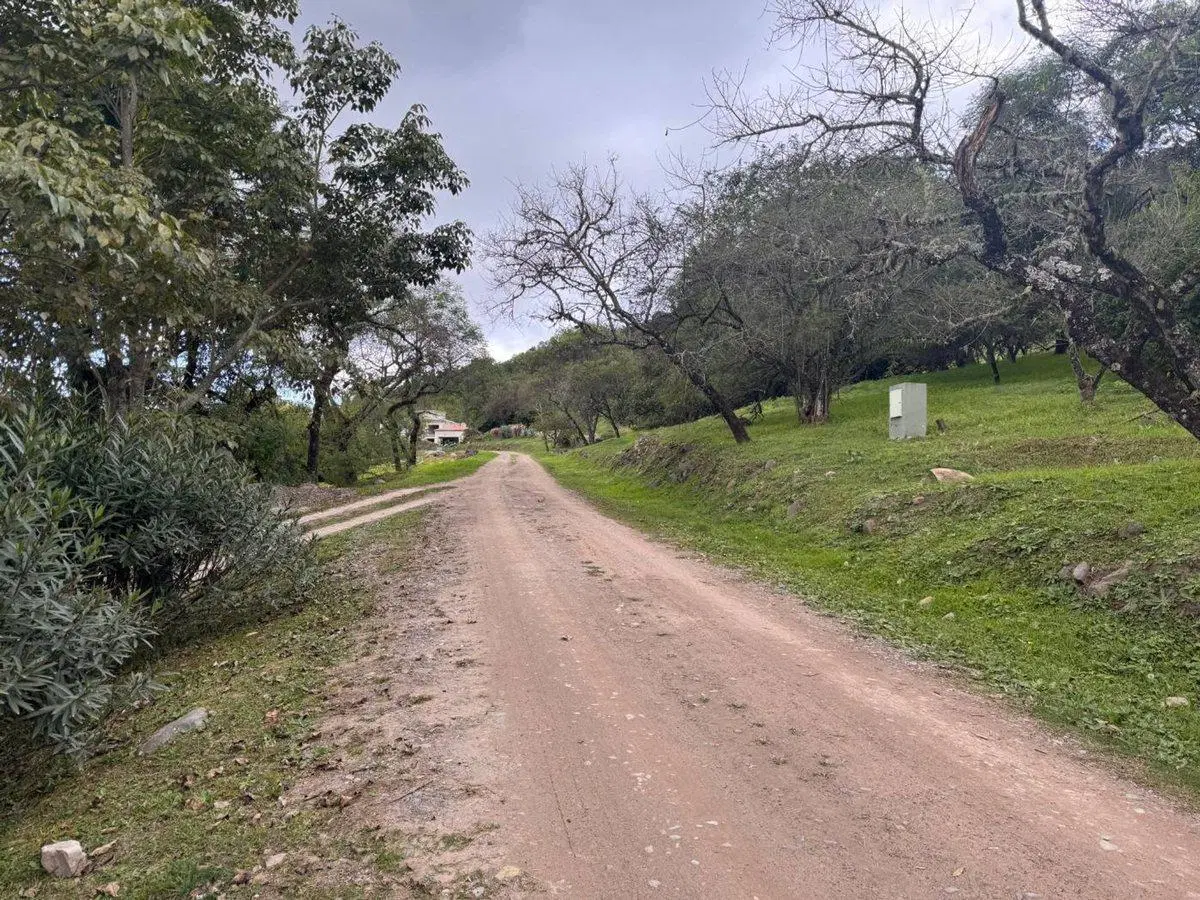 TERRENO EN VENTA EN LA HOYADA CASTELLANO 3640 M2 5