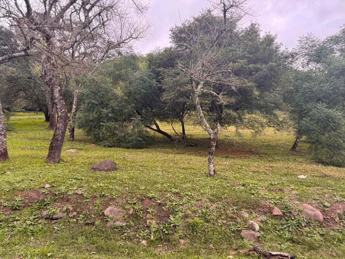 TERRENO EN VENTA EN LA HOYADA CASTELLANO 3640 M2 4