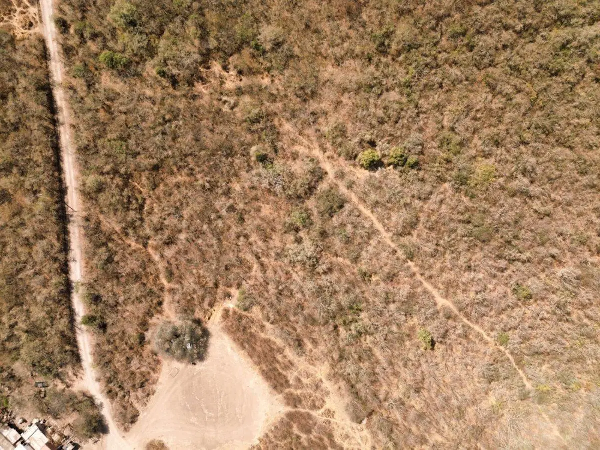 TERRENO 2 HECTAREAS VENTA ACCESO A SALTA RUTA N°9 3