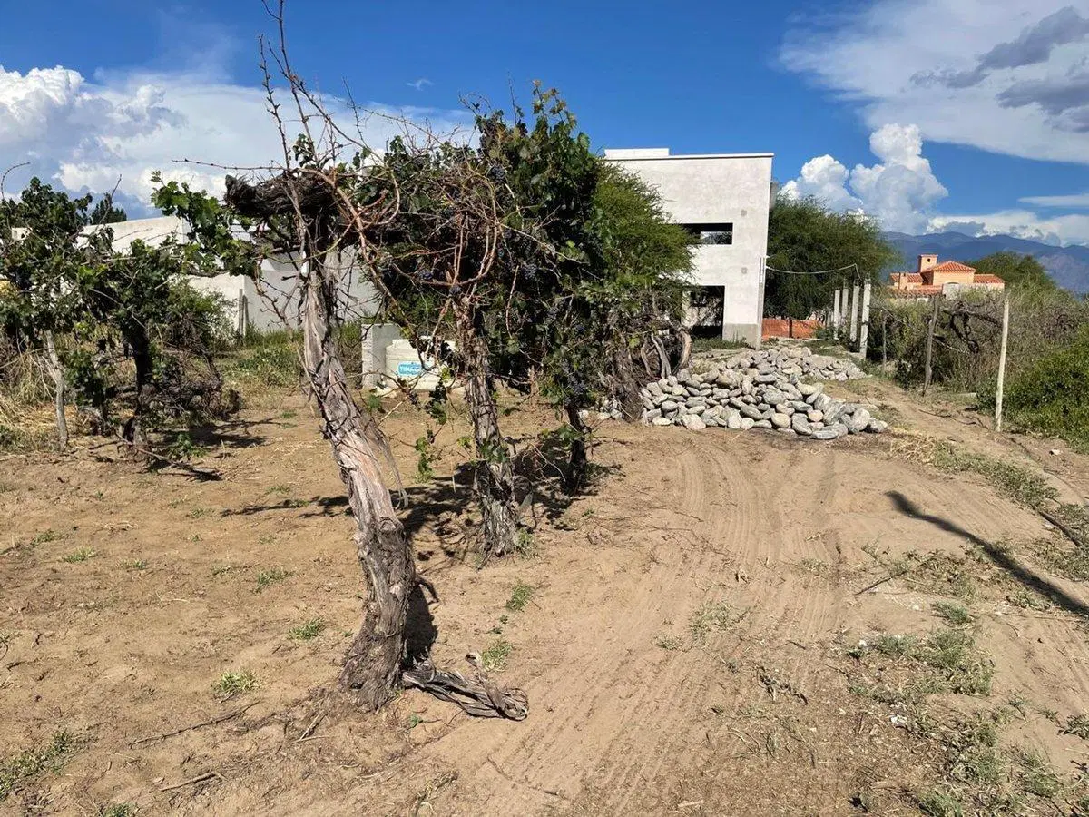 TERRENO VENTA EL TRANSITO CAFAYATE C/CONSTRUCCION 3