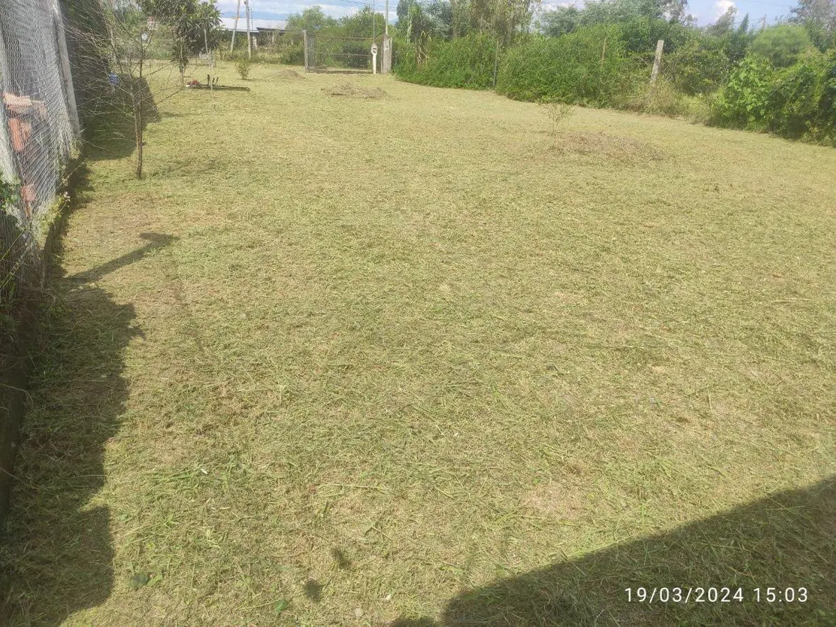 TERRENO EN VENTA EN CAMPO QUIJANO 5