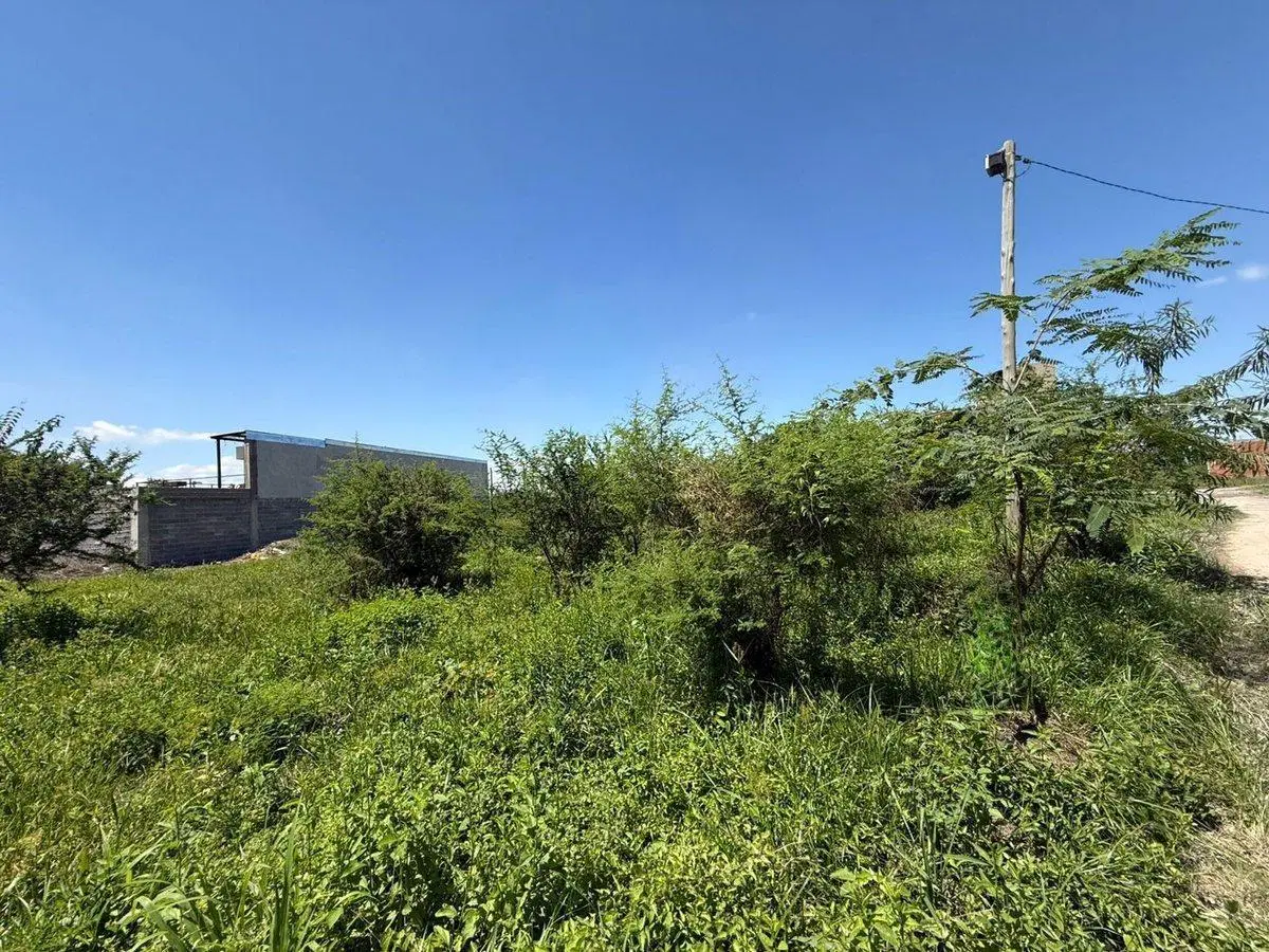 TERRENO VENTA LOTEO SEPTIEMBRE SAN LORENZO CHICO 2