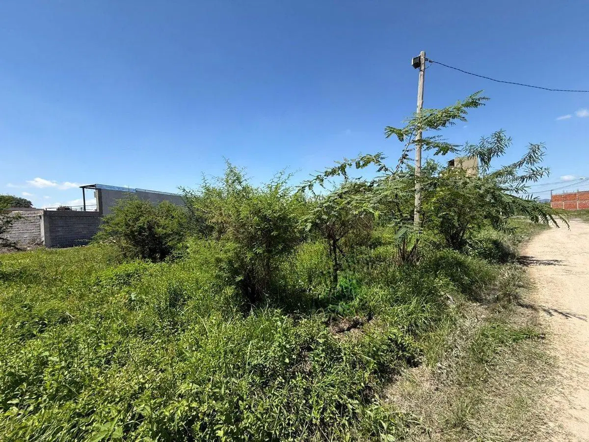 TERRENO VENTA LOTEO SEPTIEMBRE SAN LORENZO CHICO 5