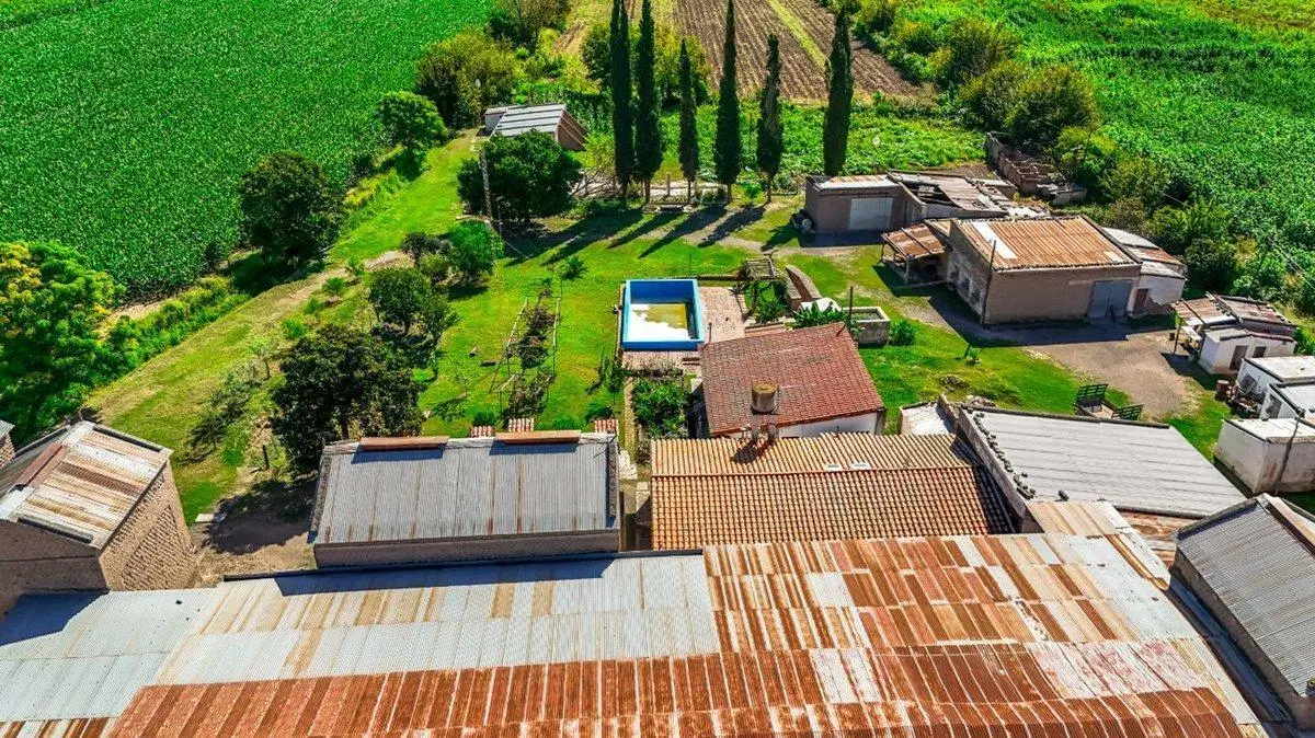 CAMPO VENTA 23 HECTAREAS RP 21 CERRILLOS 5