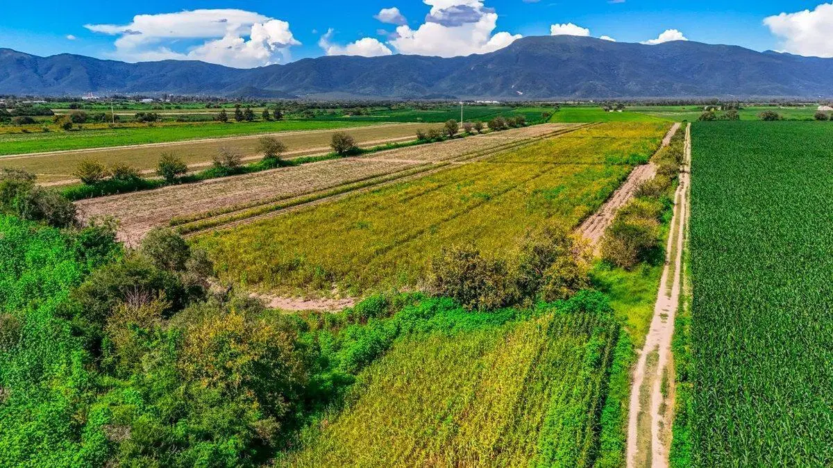 CAMPO VENTA 36 HECTAREAS SOBRE RP 21 CERRILLOS 3