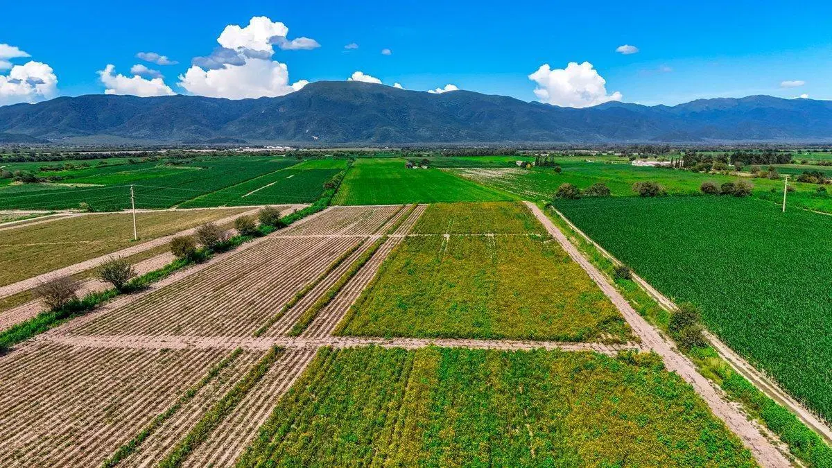 CAMPO VENTA 36 HECTAREAS SOBRE RP 21 CERRILLOS 5