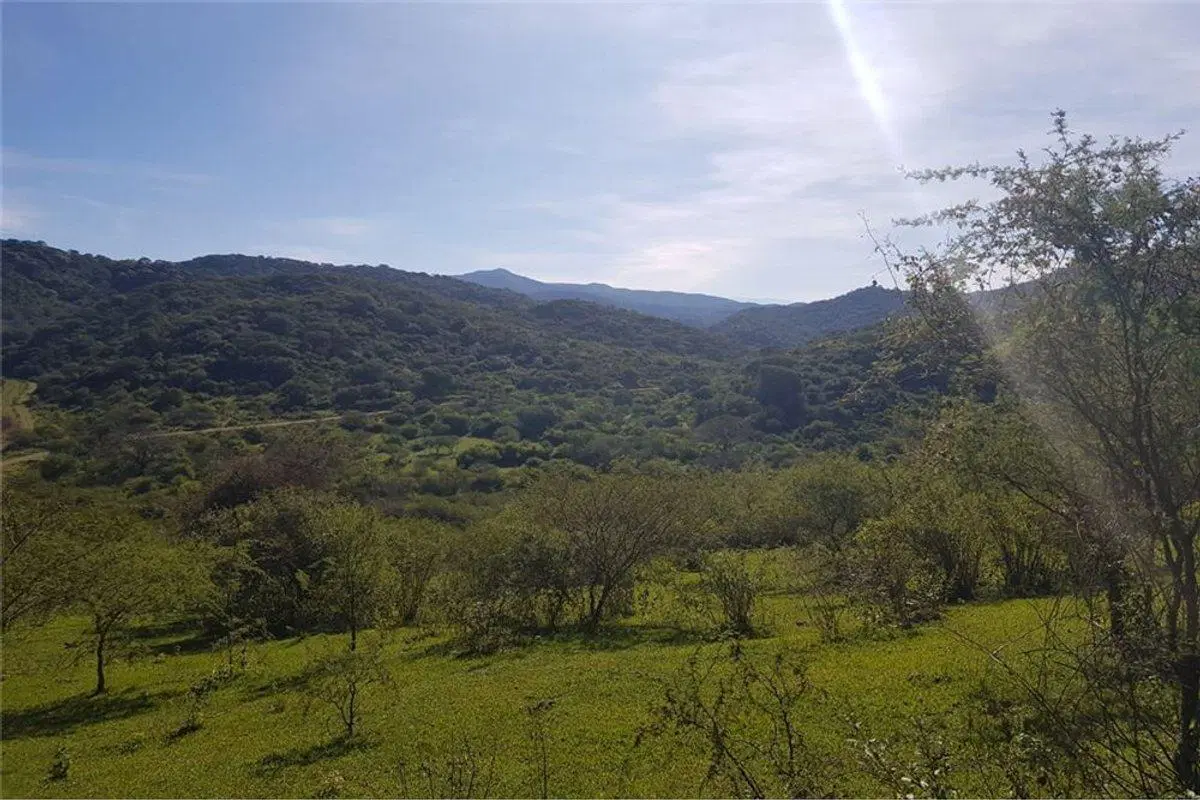 TERRENO VENTA EL CHAMICAL RP 48 4