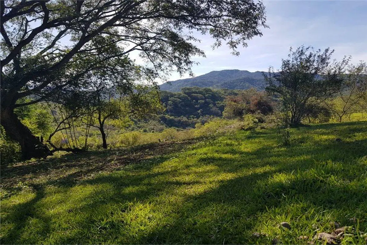 TERRENO VENTA EL CHAMICAL RP 48 5