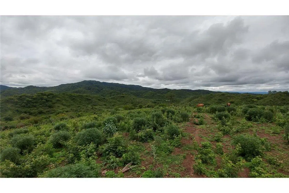 TERRENO VENTA EL CHAMICAL RP 48 3