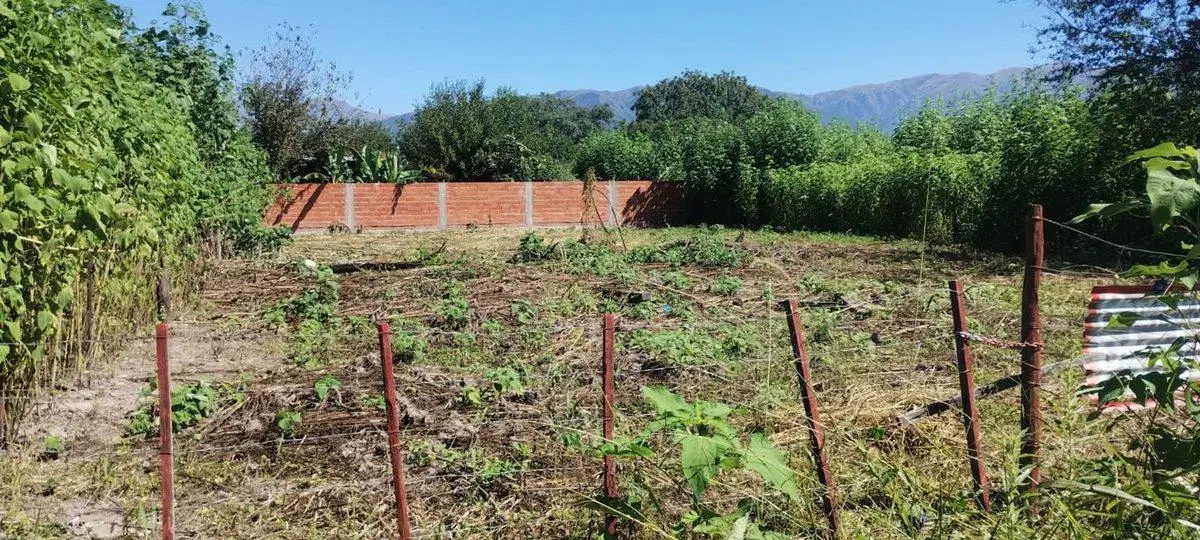 TERRENO EN VENTA EN VILLA LOLA LA SILLETA 800 M2 6