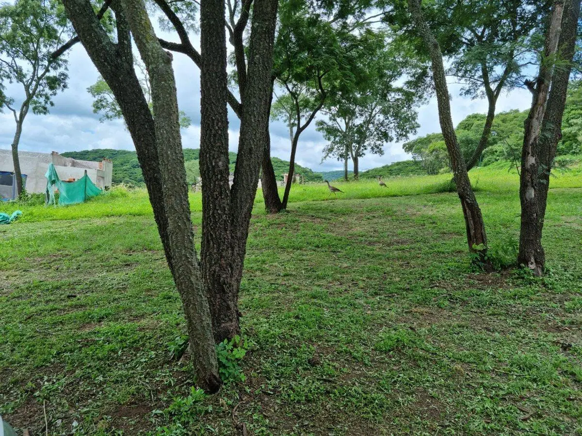 TERRRENO EN VENTA EL PORTICO ACCESO NORTE 850 M2 2