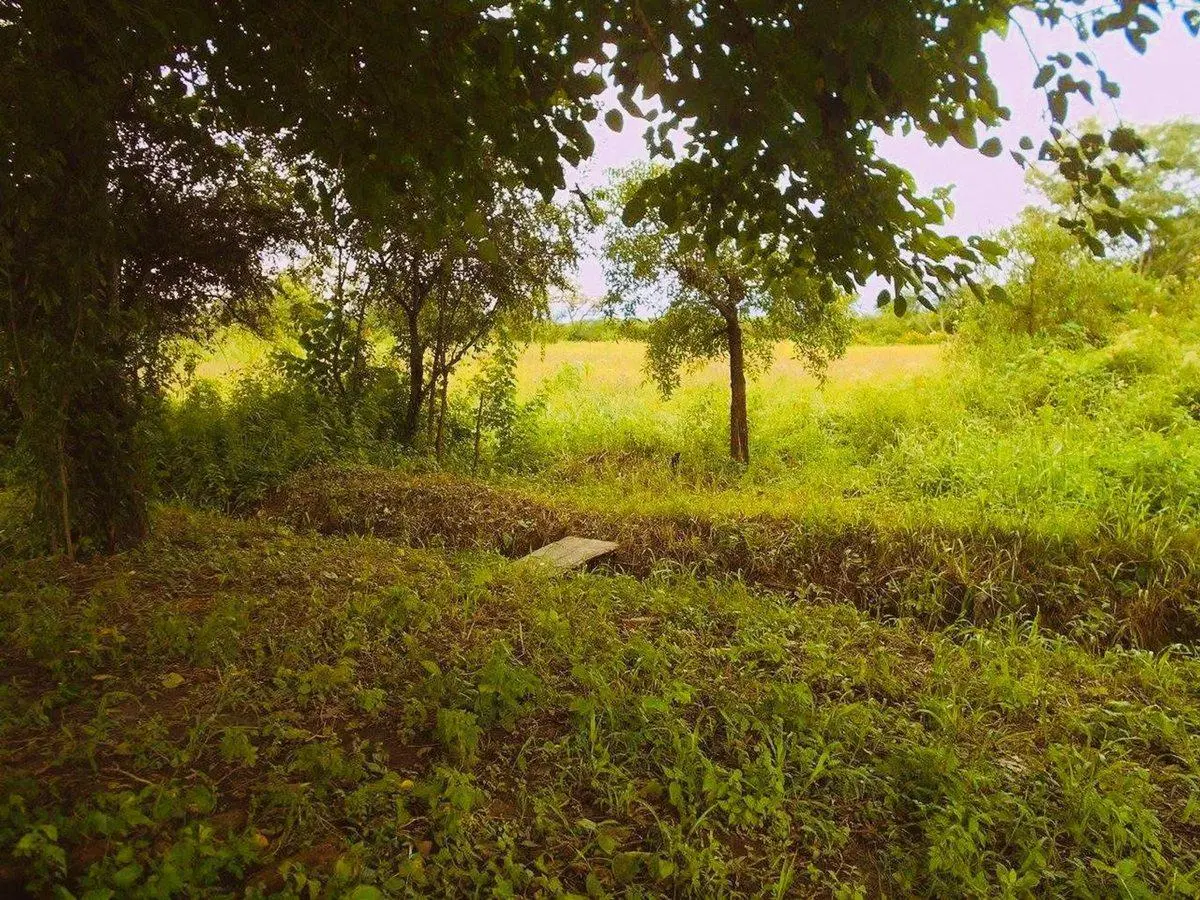 TERRENO VENTA CHICOANA FINCA BELLA VISTA 3
