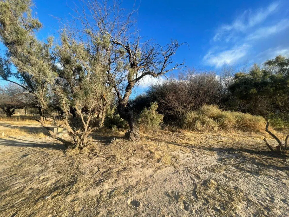 TERRENO EN VENTA BARRIO PRIVADO EL BOSQUE CAFAYATE 2