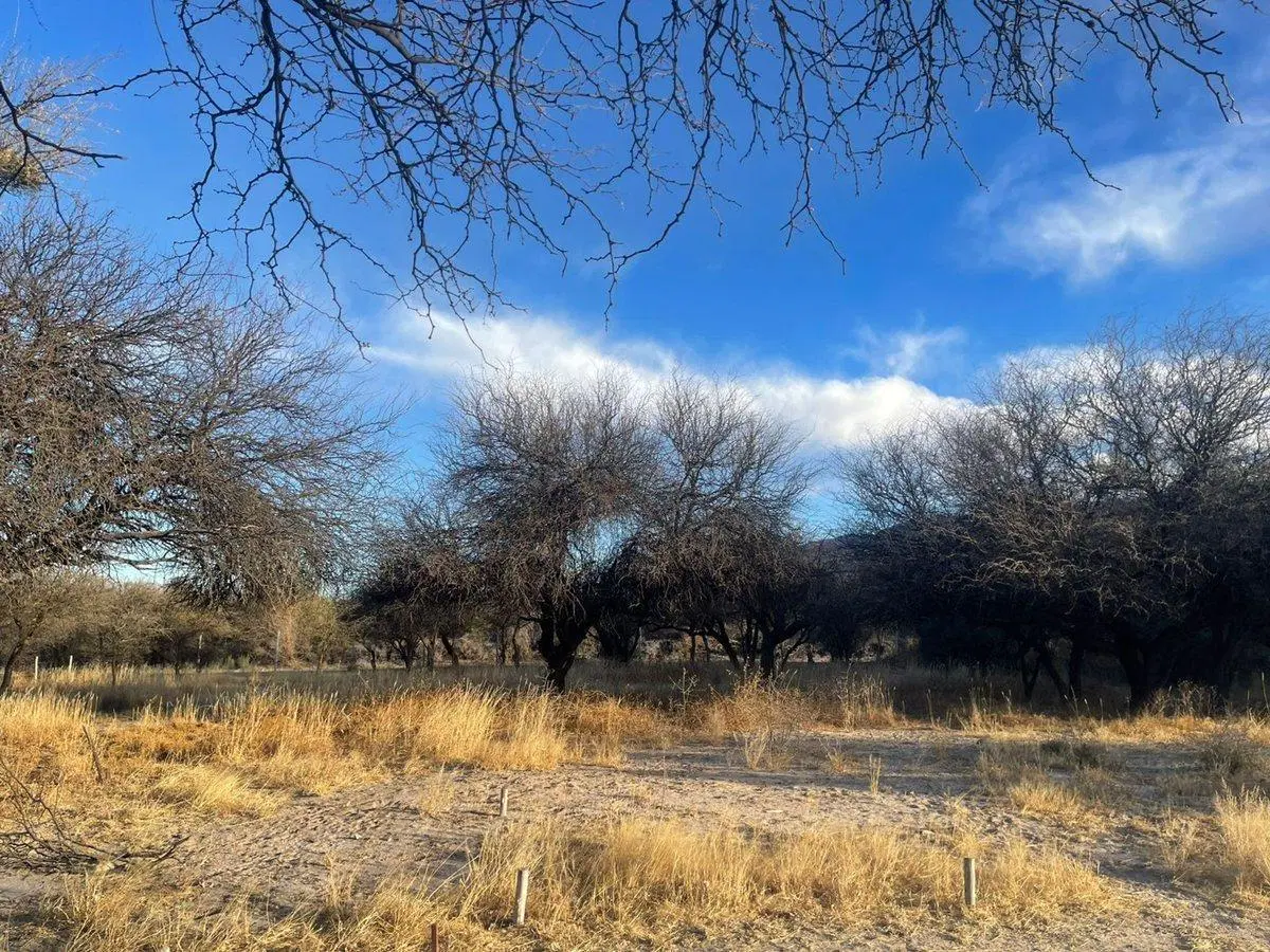 TERRENO EN VENTA BARRIO PRIVADO EL BOSQUE CAFAYATE 5