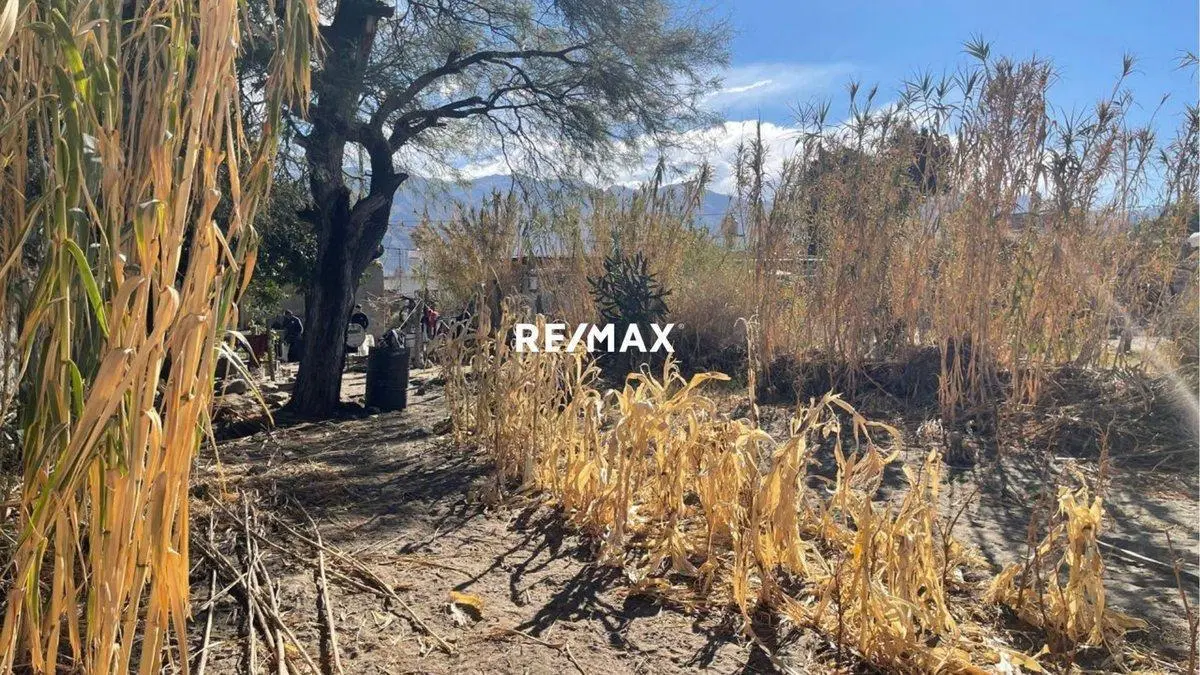 TERRENO VENTA CON CONSTRUCCION CAFAYATE 5